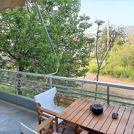 Apartments Marina Pórto Ráfti 외부 사진